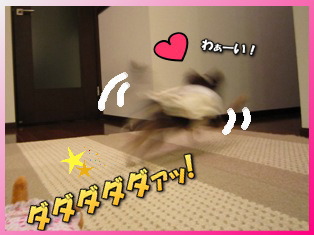 特訓開始!!