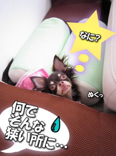 かくれんぼ?