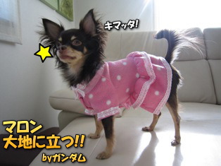 かくれんぼ?