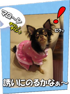 愛する二人