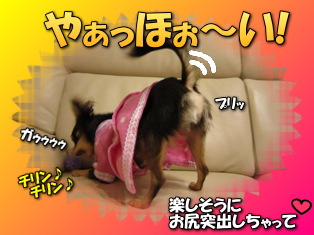 愛する二人