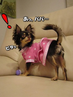 愛する二人