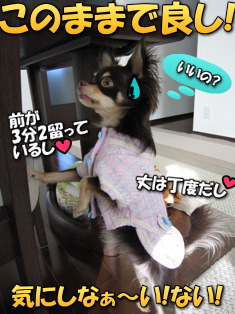 前が閉まりましぇん!