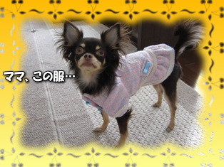 前が閉まりましぇん!