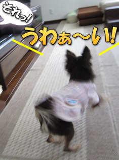 窮屈でないかな?