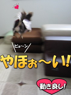 窮屈でないかな?