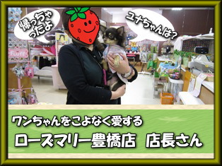 ローズマリー豊橋店ユナちゃんに会えず…