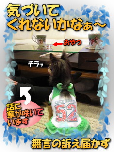 無言の訴え