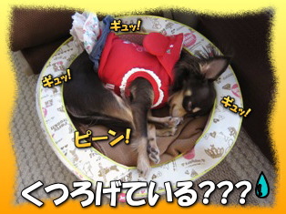そっと見て!!