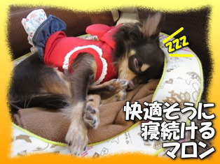 そっと見て!!