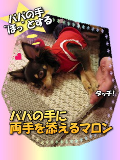 愛に包まれて…
