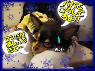 昨夜のお庭は(^-^)