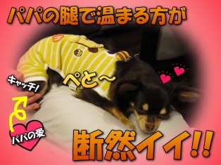 昨夜のお庭は(^-^)