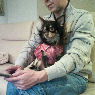 ソファーでアピール