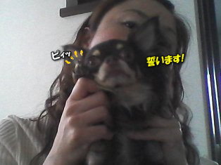 マロン・ラブ friend dog宣誓!