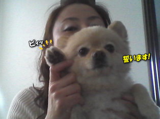 マロン・ラブ friend dog宣誓!