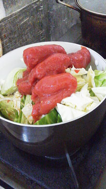 16日目。