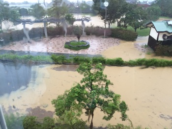 台風