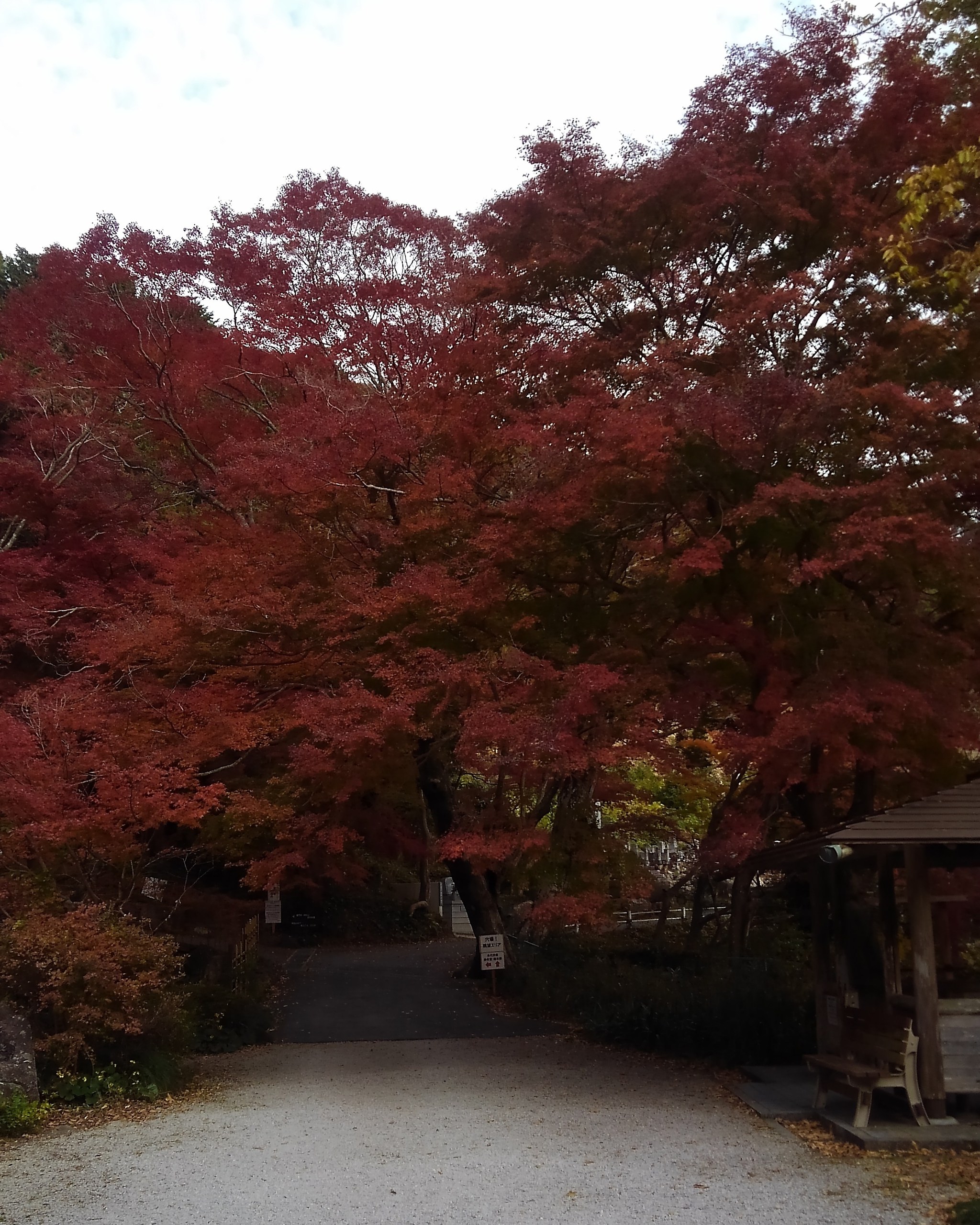 雲谷の普門寺 雲谷の普門寺