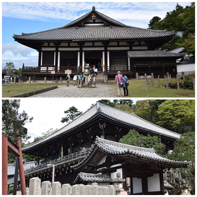 奈良に行ってきました①・・・興福寺、東大寺周辺、新薬師寺、白毫寺・・・ 奈良に行ってきました①・・・興福寺、東大寺周辺、新薬師寺、白毫寺・・・