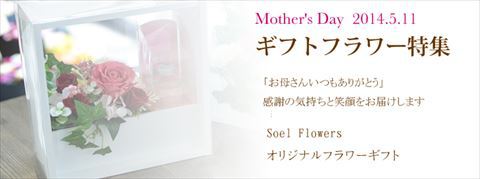 今年の母の日は5/11ですよぉ!!