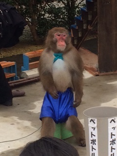医王寺弘法大師大祭!