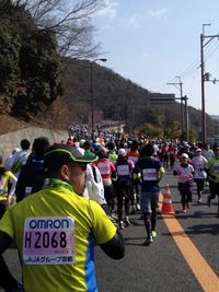 京都マラソン写真集（中間～終点）【2014年２月１６日】