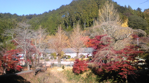 鳳来寺山 もみじまつり