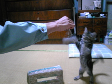 元気が一番!