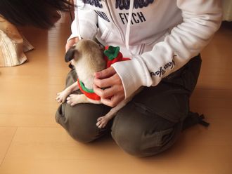 お客様
