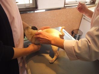 注射終了
