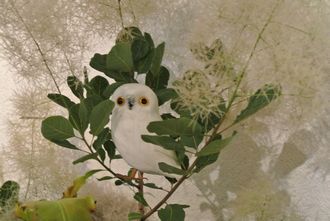個展へ