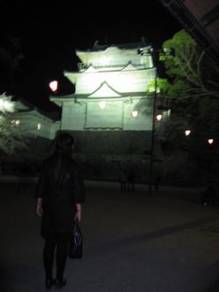夜桜万歳