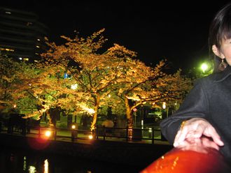 夜桜万歳
