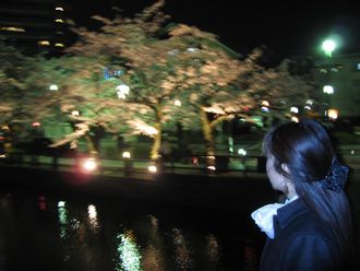 夜桜万歳