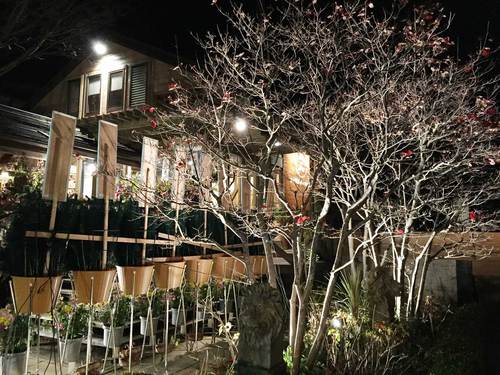 昨日オープン 「nonno・cafe」 ワイン 愉しむ‼️ 昨日オープン 「nonno・cafe」 ワイン 愉しむ‼️