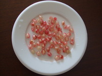 秋の。