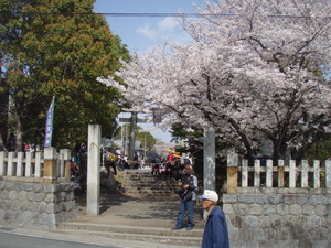 桜と祭り