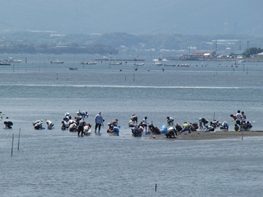 潮干狩り＆パンダリーノ2010―浜名湖