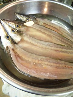 カマスの一夜干し