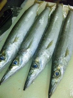 簡単クッキングその3カマスの一夜干し