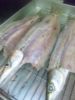 簡単クッキングその3カマスの一夜干し