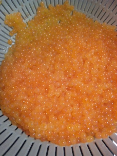 秋の味覚シリーズその5