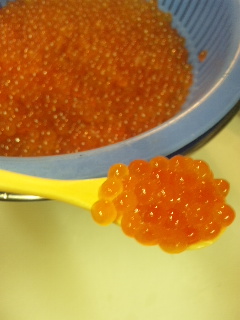 秋の味覚シリーズその5