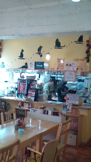 dear JJcafe