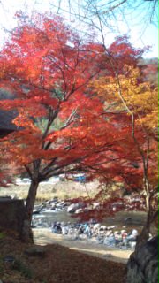 香嵐渓その2