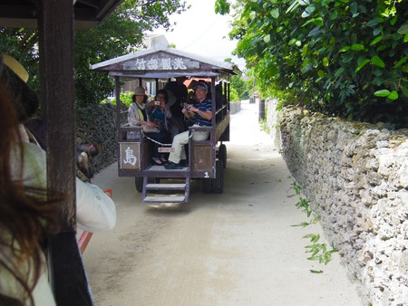 初の石垣島ぁ〜。。2日目 西表島 その2 追記あり 初の石垣島ぁ〜。。2日目 西表島 その2 追記あり