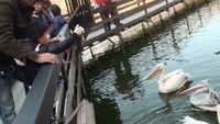 厄払い