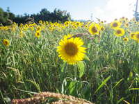 夏　到来！！ 2018/07/21 19:47:08