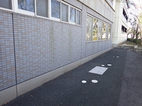 トイレ詰まり 2017/11/12 17:13:44